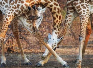 F/Stop February 2026