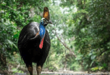 F/Stop December 2025